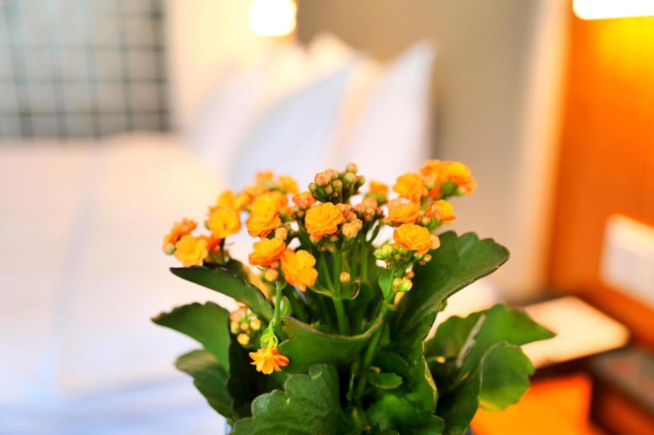 Holiday Inn Express Luoyang Xiyuan Eksteriør billede